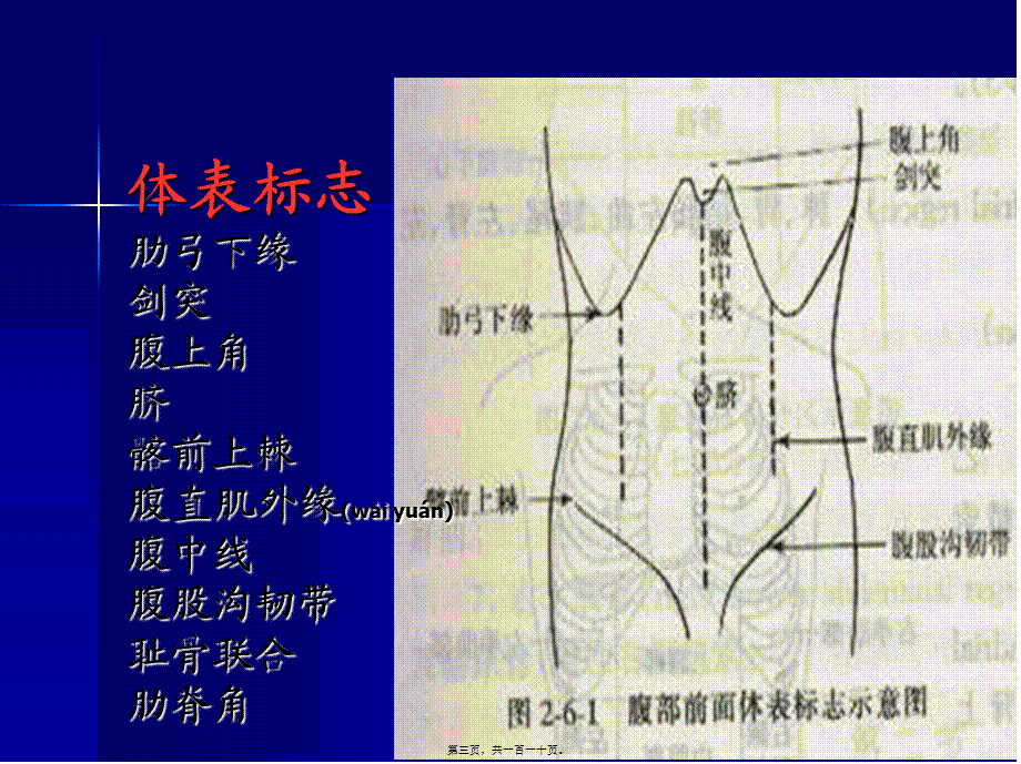 2022年医学专题—腹部检体.ppt_第3页