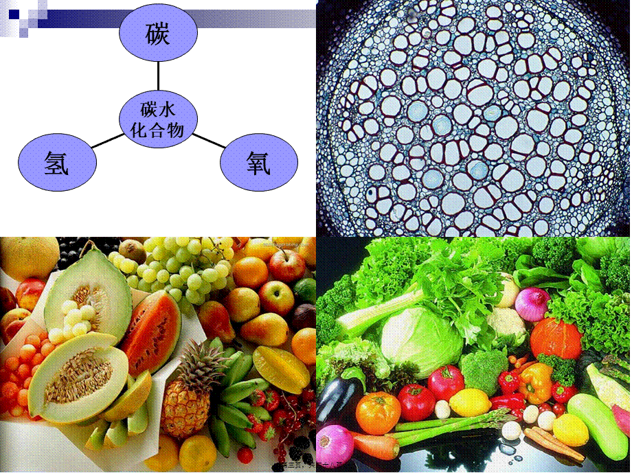 《食品营养与卫生》-第五讲-碳水化合物-2016测试版.pptx_第3页