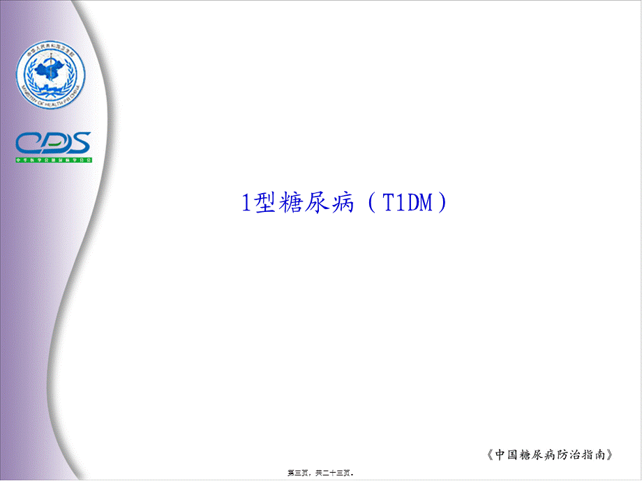 2022年医学专题—中国糖尿病防治指南2.ppt_第3页