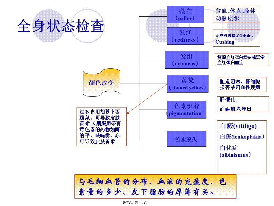 一般检查皮肤分解.pptx_第3页