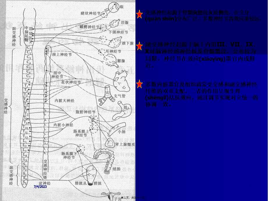 2022年医学专题—第三讲-传出神经系统.ppt_第2页
