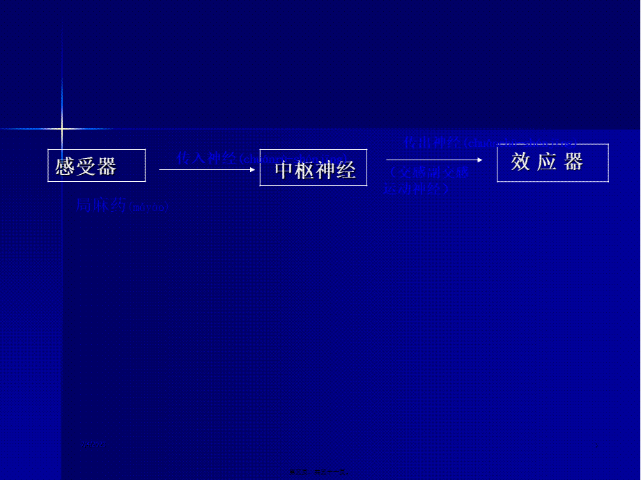 2022年医学专题—第三讲-传出神经系统.ppt_第3页