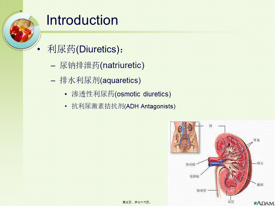8-利尿药.pptx_第3页