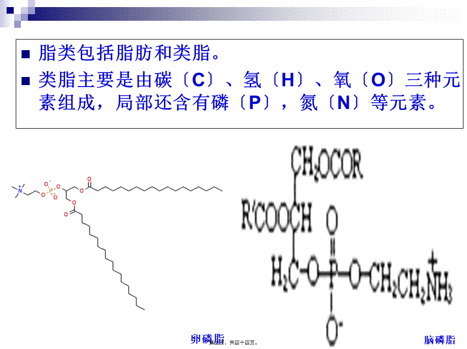 《烹饪营养学》第五讲-脂-类-2017版.pptx_第3页