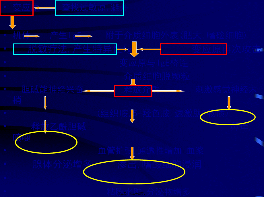 3鼻外伤出血过敏.pptx_第3页