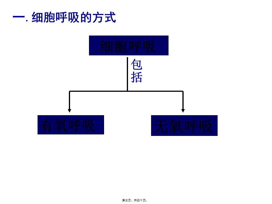 5.3ATP的主要来源—细胞呼吸.pptx_第3页