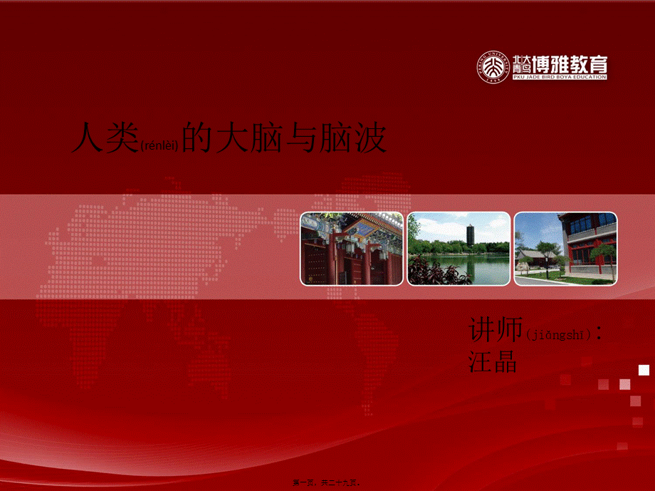 2022年医学专题—人类的大脑与脑波.pptx_第1页