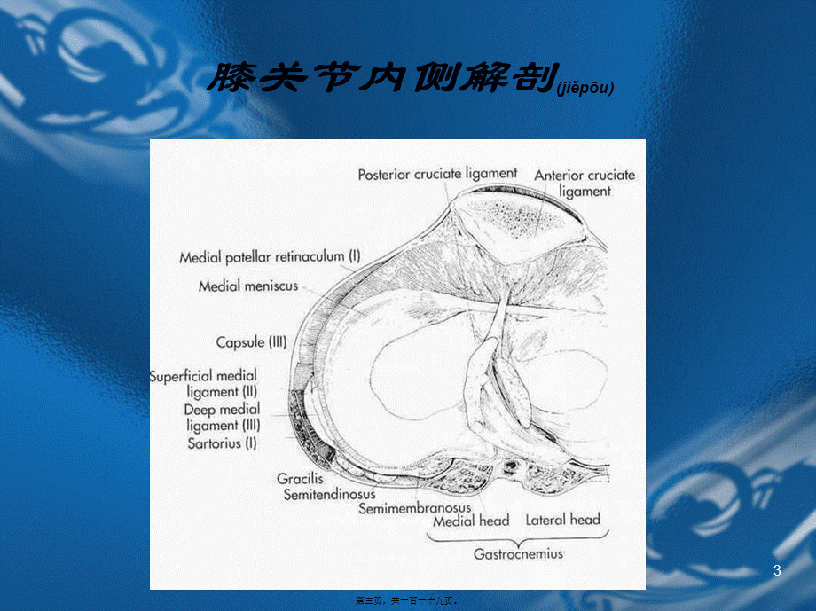 2022年医学专题—内侧副韧带损伤.ppt_第3页