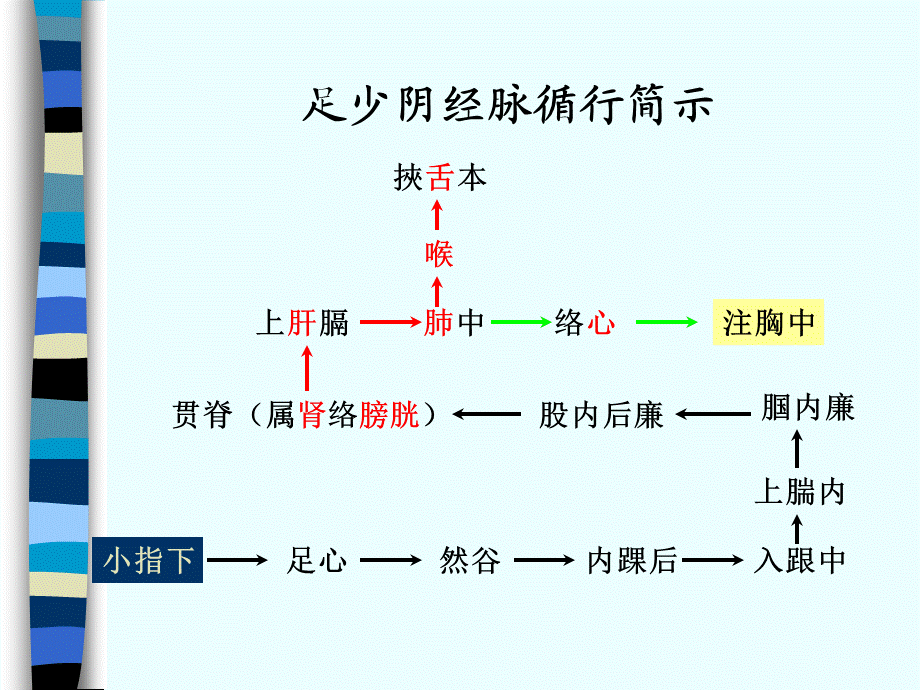 85人体经络穴位图谱8肾经(1).ppt_第3页