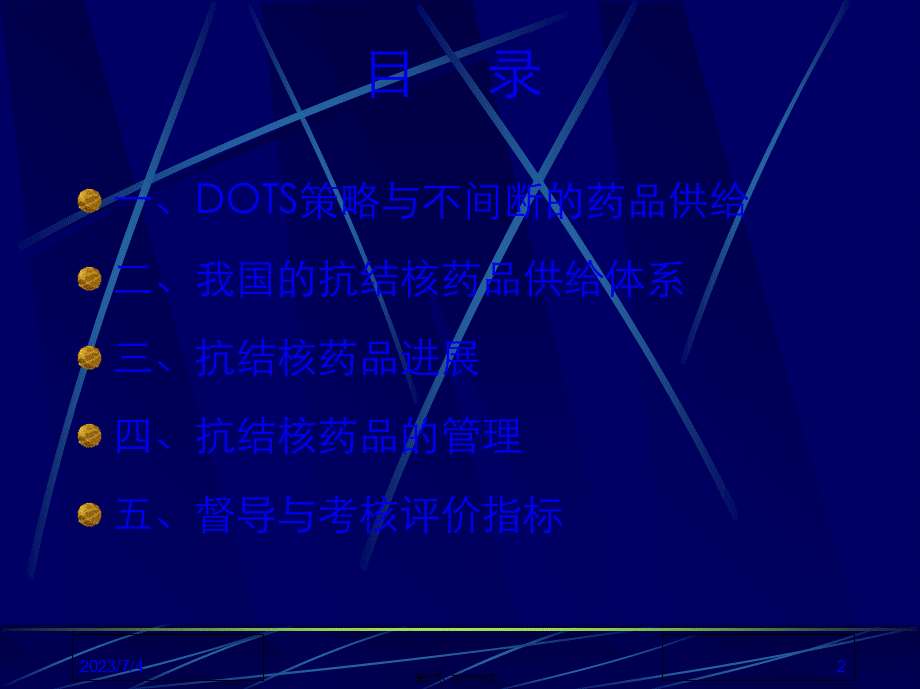 DOTS与药品.pptx_第2页