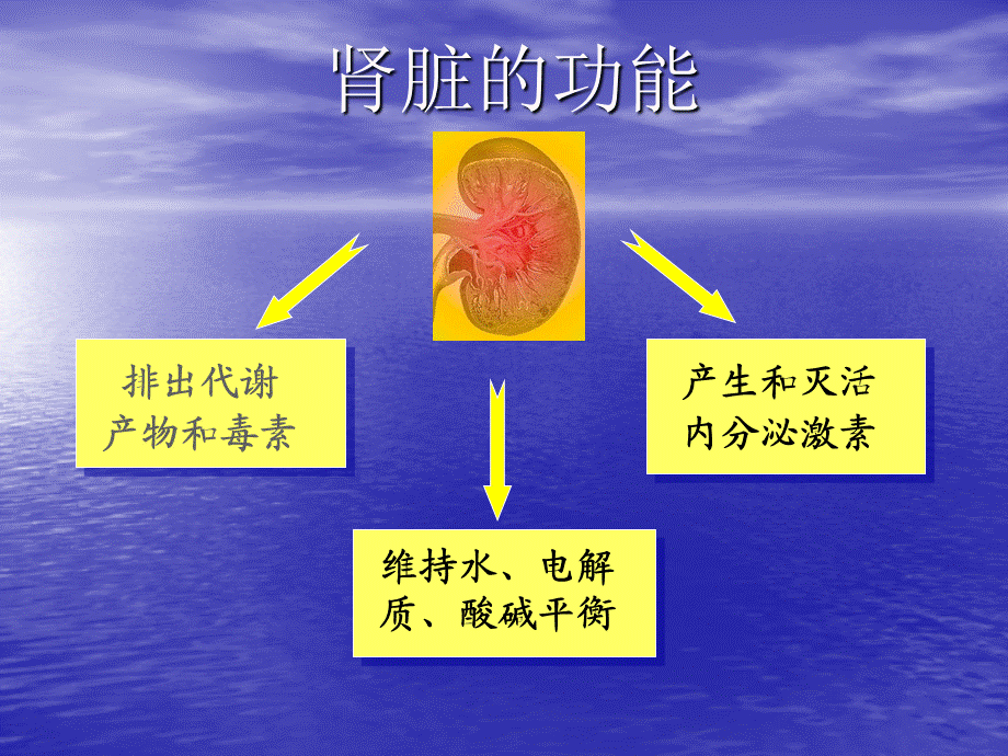 102肾内科-慢性肾衰竭(1).ppt_第2页