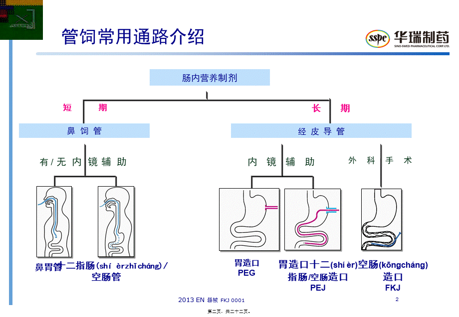 2022年医学专题—FKJ-胸外空肠造口术.ppt_第2页