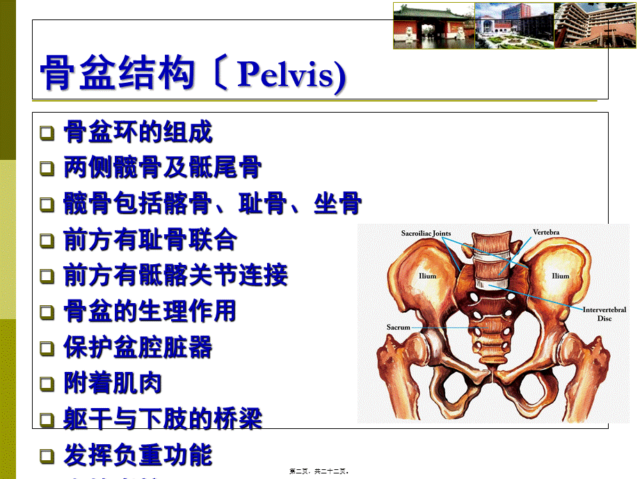 8、本科生教学-骨盆骨折.pptx_第2页