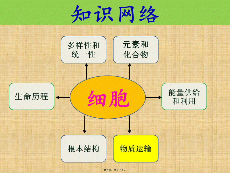 一轮复习4--细胞的物质输入和输出.pptx_第2页