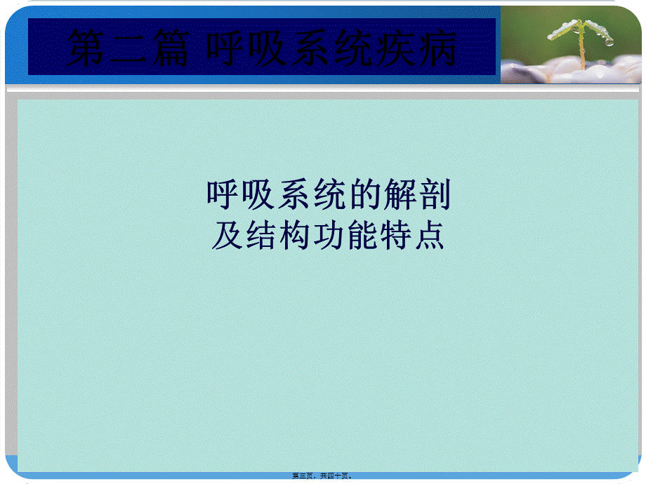 9.13急性上呼吸道感染.pptx_第3页