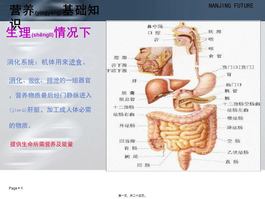 2022年医学专题—肠管(鼻肠管).ppt_第1页