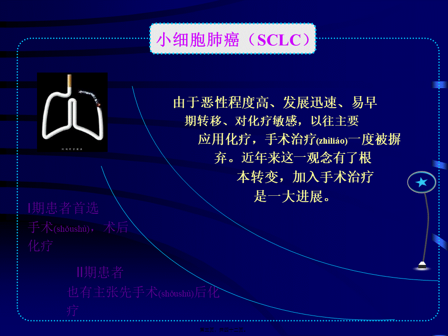 2022年医学专题—肺癌化疗常见注意事项.ppt_第3页