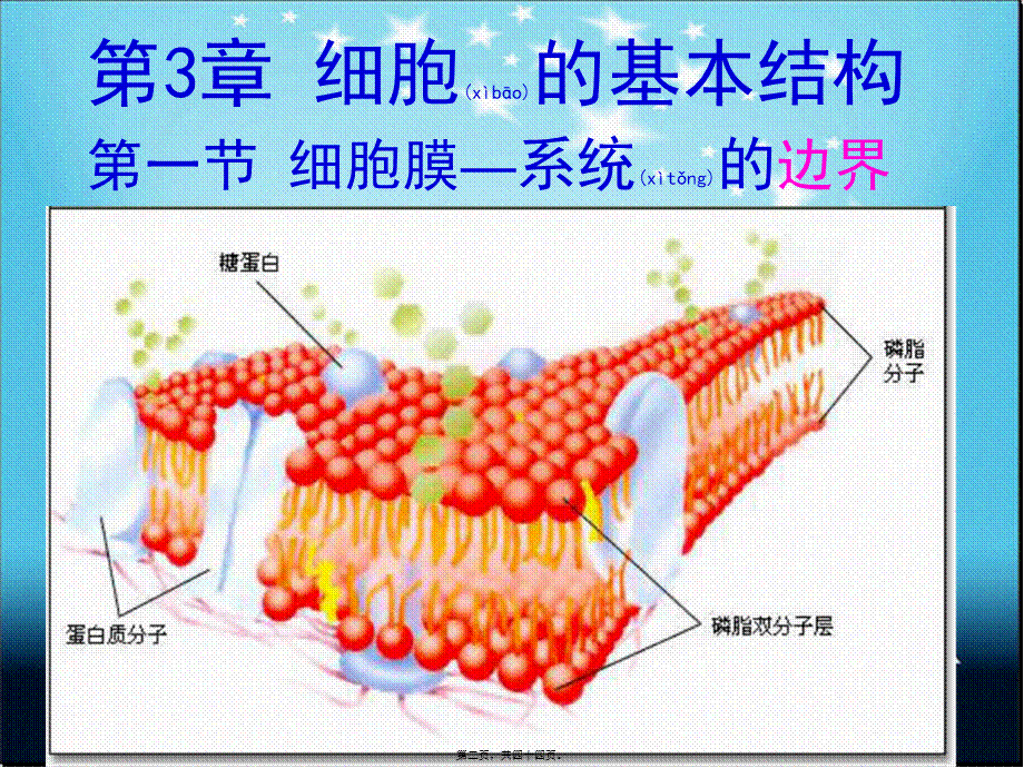 2022年医学专题—小谢3.1系统的边界——细胞膜ppt.ppt_第2页