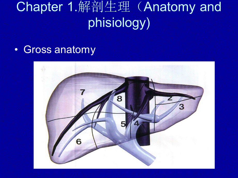 76内科-肝脏疾病(1).ppt_第2页