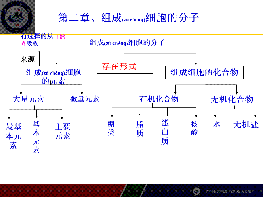 2022年医学专题—一轮复习组成细胞的元素及无机化合物概述.ppt_第1页