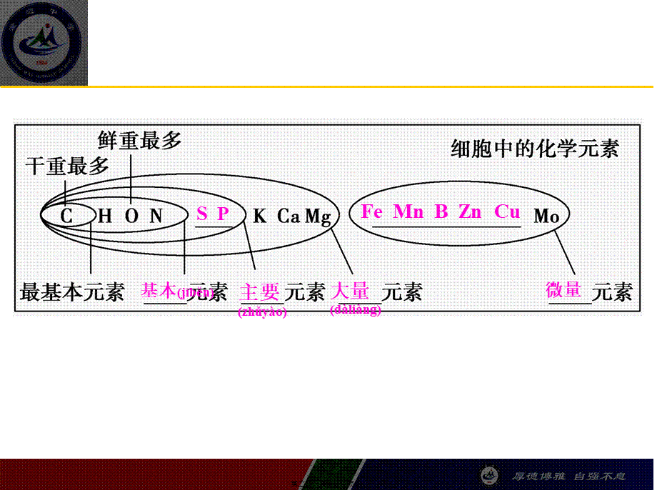 2022年医学专题—一轮复习组成细胞的元素及无机化合物概述.ppt_第2页