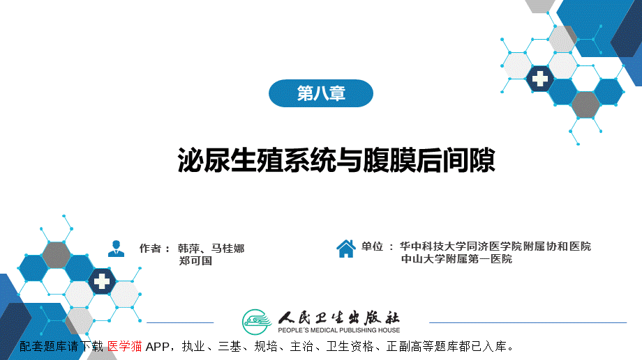 第八章 泌尿生殖系统与腹膜后间隙 第一节 泌尿系统(1).pptx_第2页