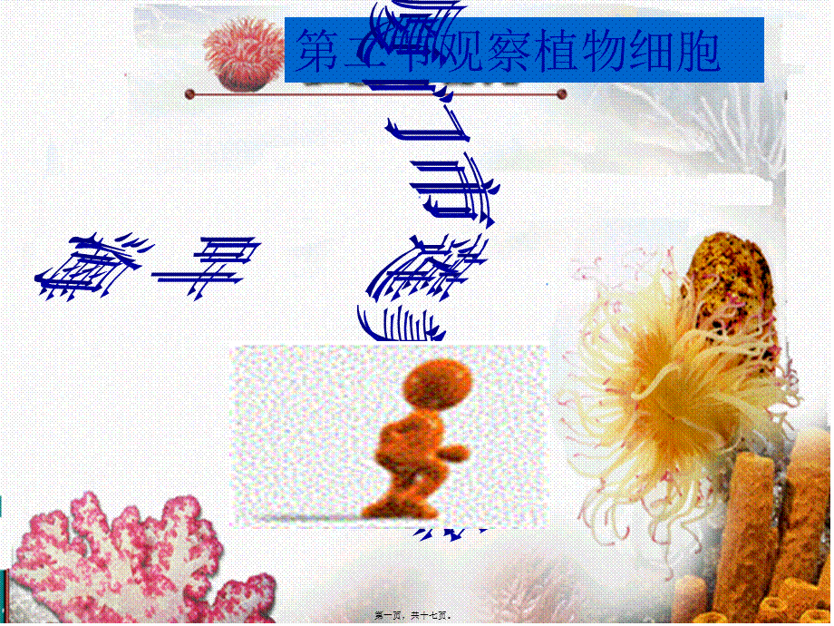 七上二单元一章二节观察植物细胞.pptx_第1页