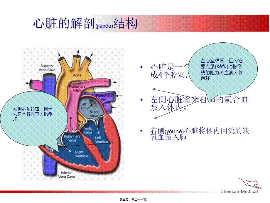 2022年医学专题—无创心排量和血液动力学监测-1.ppt_第3页