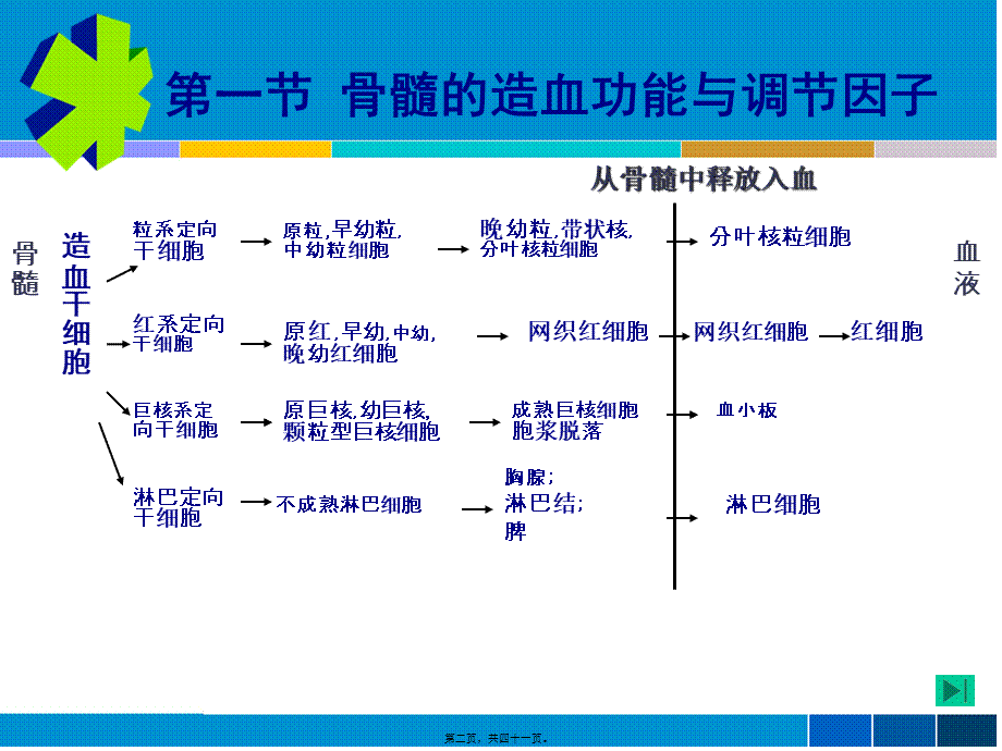 7血液毒理.pptx_第2页