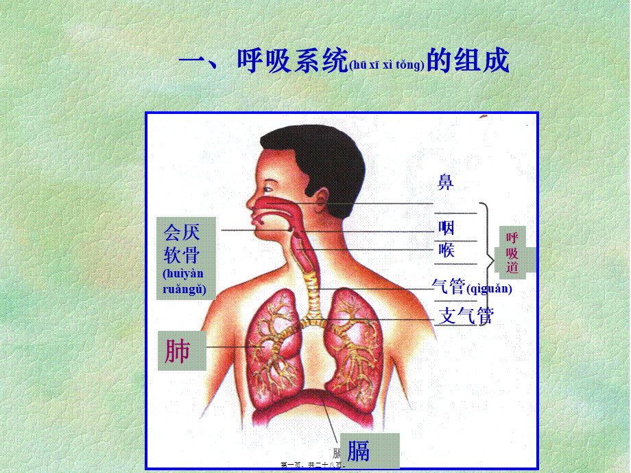 2022年医学专题—发生在肺内的气体交换AKnKUn.ppt_第1页