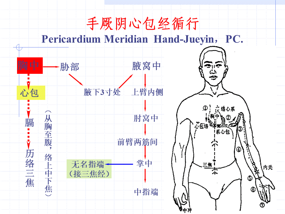 86人体经络穴位图谱9心包经(1).ppt_第2页