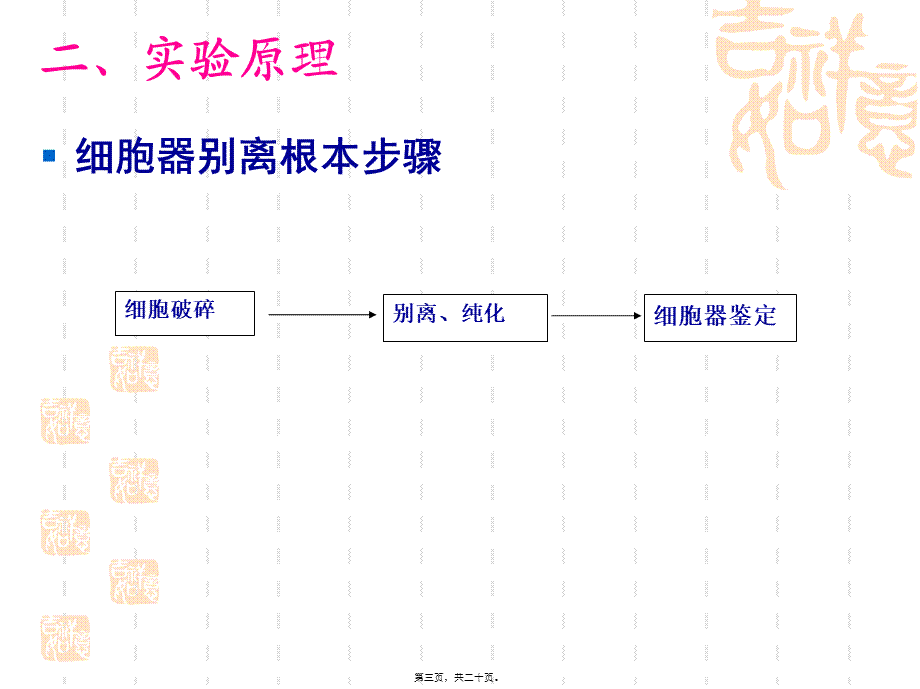 6细胞核和线粒体的分离和观察.pptx_第3页