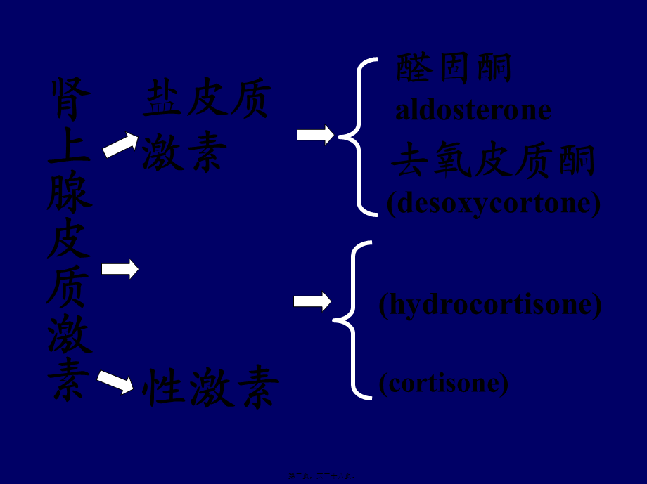 6.7拟抗副交感神经药2-(2).pptx_第2页