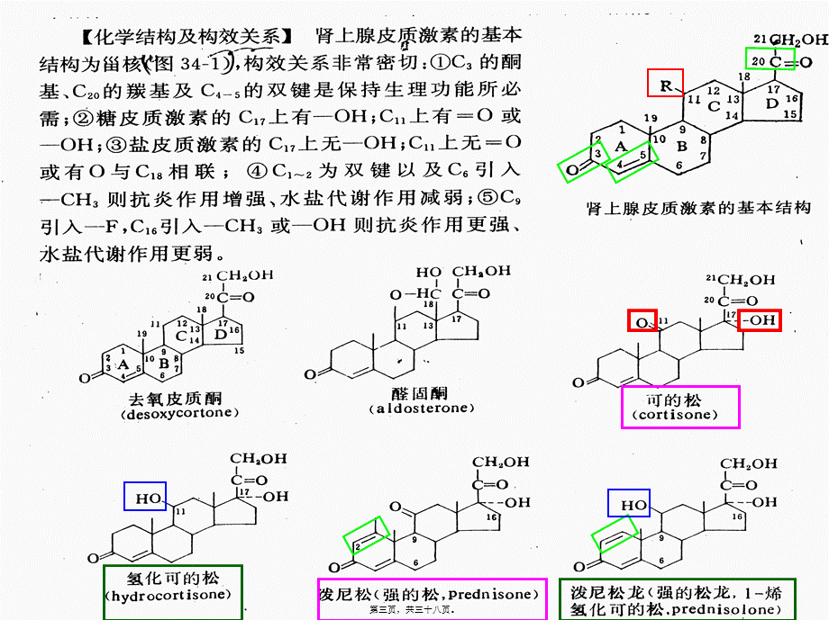 6.7拟抗副交感神经药2-(2).pptx_第3页