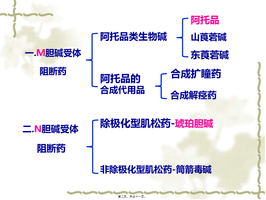 y7.胆碱受体阻断药3.31.pptx_第2页