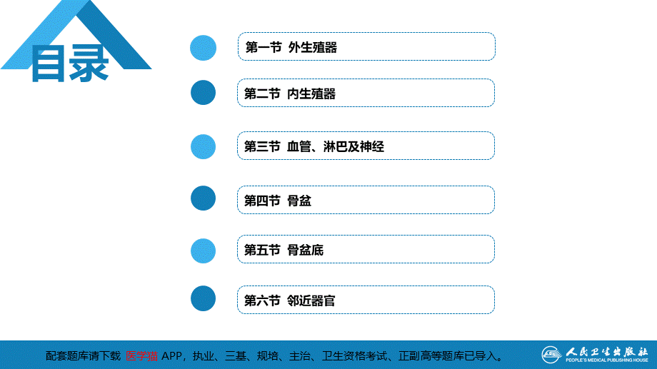 第二章女性生殖系统解剖(1).ppt_第3页