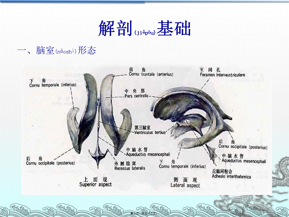 2022年医学专题—侧脑室穿刺术及脑脊液引流.ppt_第2页