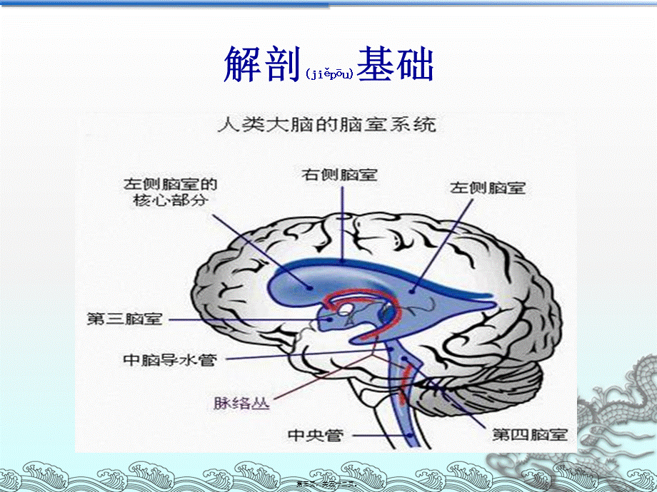 2022年医学专题—侧脑室穿刺术及脑脊液引流.ppt_第3页