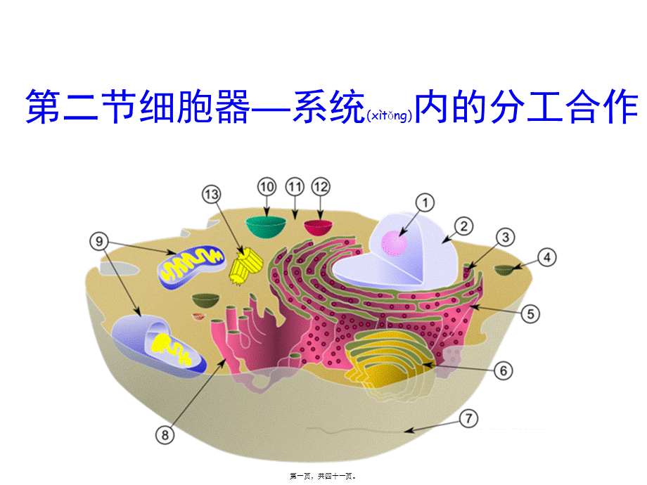 2022年医学专题—《细胞器——系统内的分工合作》(共48张PPT).ppt_第1页