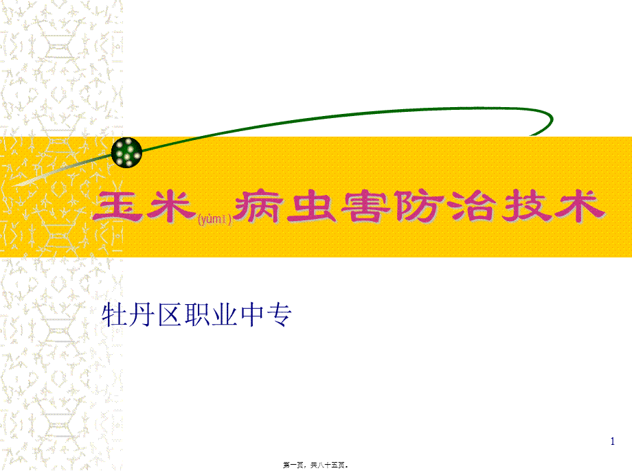 2022年医学专题—玉米病虫害防治(20081208修改)素材.ppt_第1页