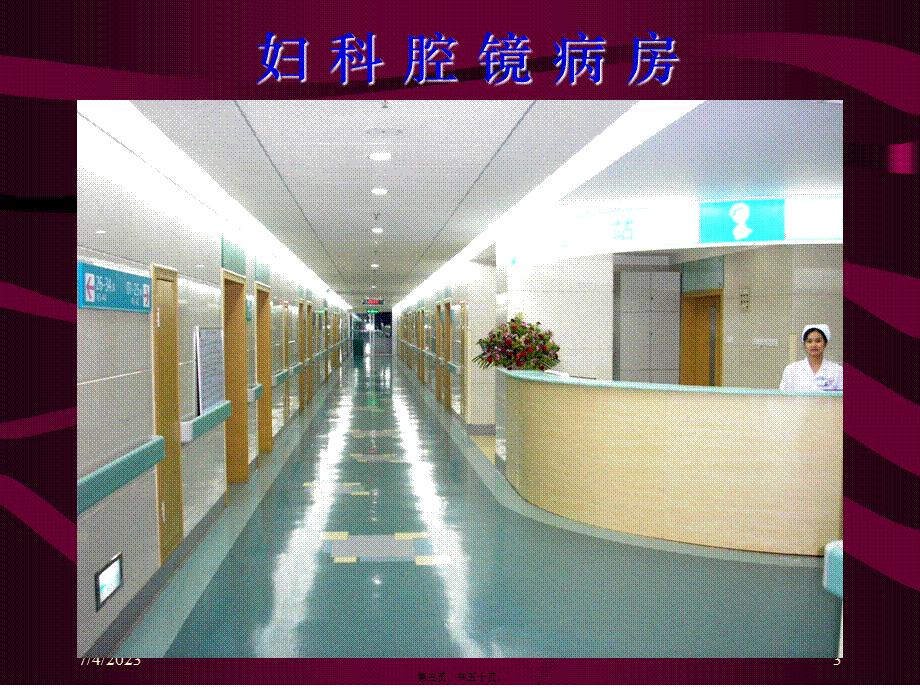 2022年医学专题—子宫内膜异位症诊治新进展.ppt_第3页