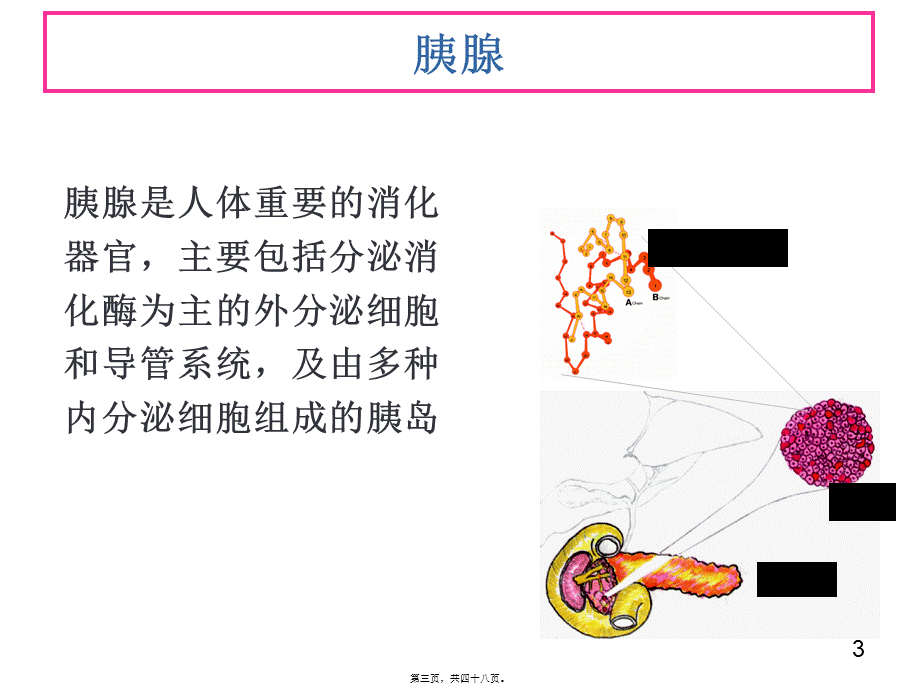 5功能食品-辅助降血糖.pptx_第3页