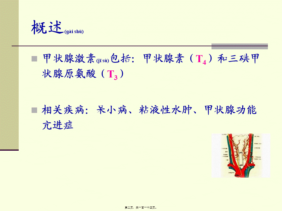 2022年医学专题—甲状腺胰岛素.ppt_第2页