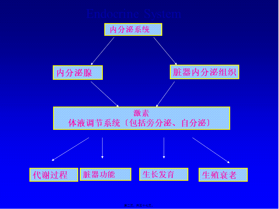 内分泌总论2008.5(口腔).pptx_第2页