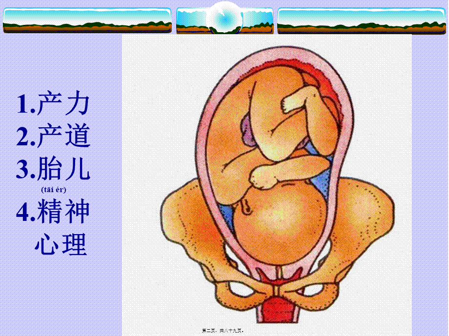 2022年医学专题—异-常分娩.ppt_第2页