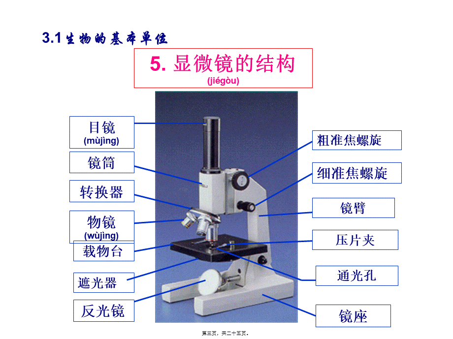 2022年医学专题—第三章《细胞与生殖》复习.ppt_第3页