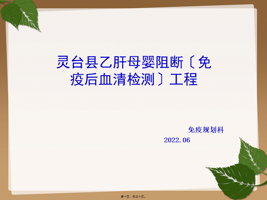 乙肝母婴阻断项目.pptx_第1页