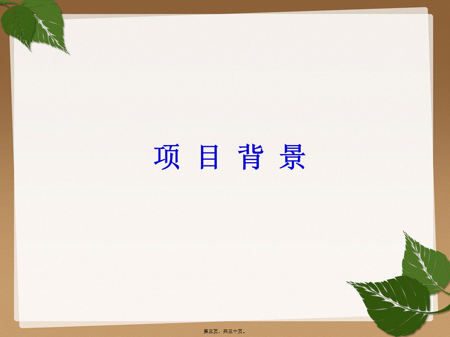 乙肝母婴阻断项目.pptx_第3页