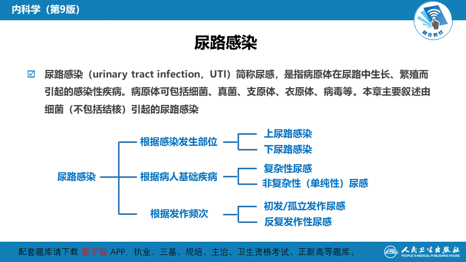 第五章尿路感染(1).ppt_第3页