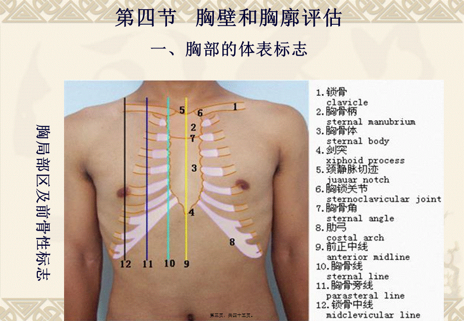 chapter4肺与胸膜评估.pptx_第3页